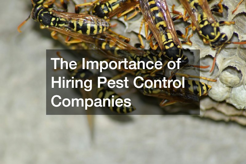The Importance of Hiring Pest Control Companies